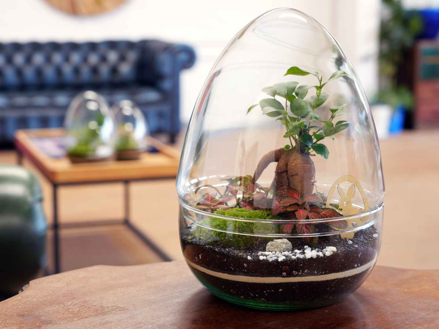 A beautifully crafted glass terrarium in the shape of an egg features a small tree surrounded by vibrant green plants and moss. The terrarium sits on a wooden table, adding a touch of springtime charm to the modern interior setting.