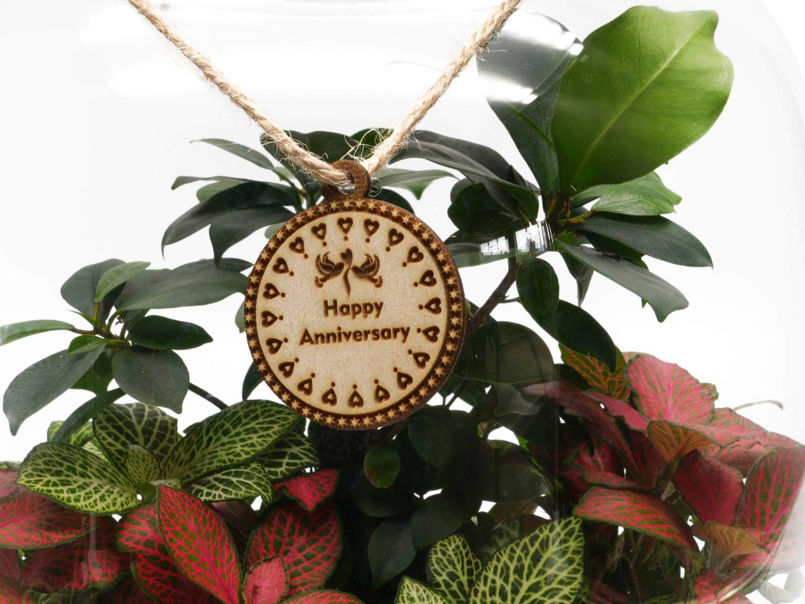 A wooden gift tag engraved with Happy Anniversary hangs from a twine string inside a closed glass terrarium. The terrarium features lush green plants, including vibrant red and green foliage, creating a beautiful botanical display.