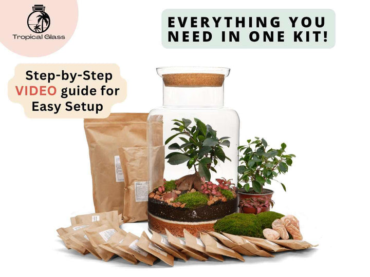 Artisan bonsai terrarium kit complete set, includes layering materials, glass container and live plants