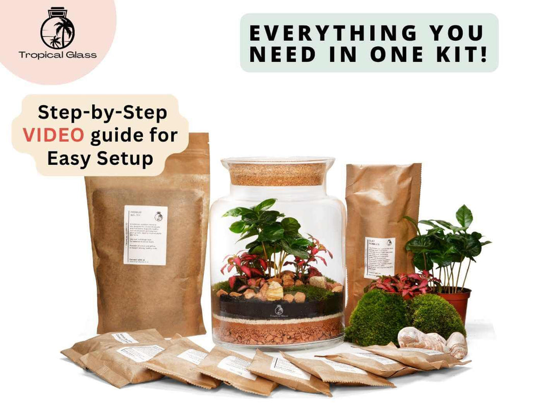 Complete DIY terrarium kit with plants moss and layering materials Artisan Range