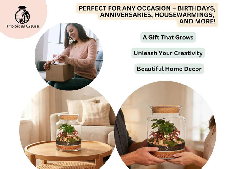 DIY terrarium kit gift idea with plants and glass jar perfect for special occasions