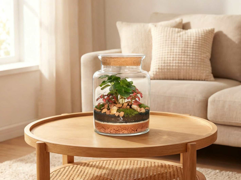 Artisan terrarium H: 25 in modern home interior lifestyle setting glass plant decor