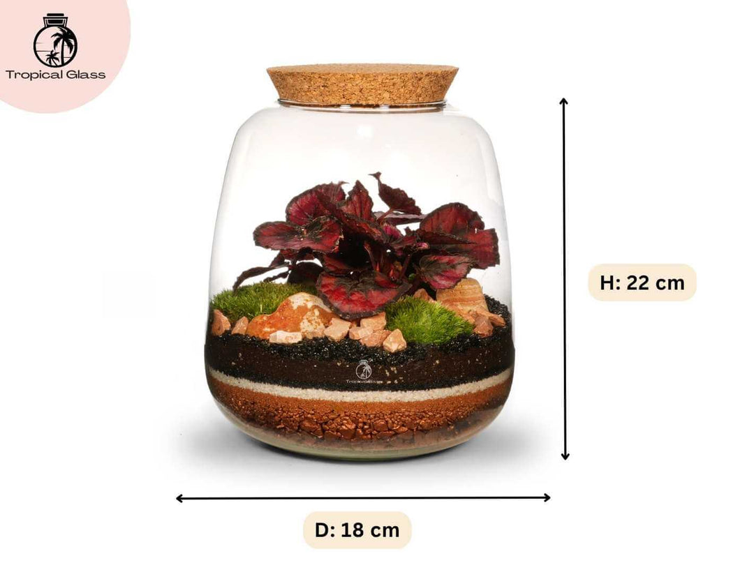Size guide for Artisan DIY terrarium kit, showing 22 cm height and 18 cm diameter bulb shaped glass jar