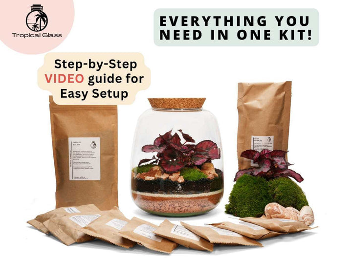 Artisan DIY terrarium kit with glass jar, live plant, cushion moss, decorative layering materials, cork tamper and care guide