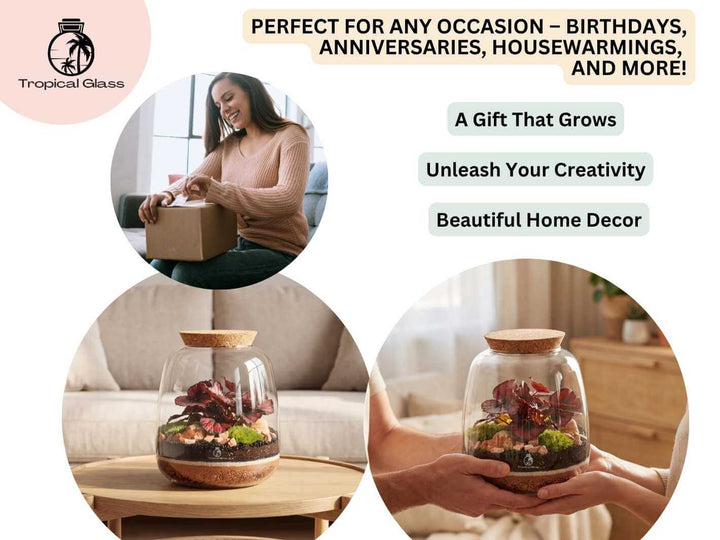 Artisan terrarium kit presented as a creative gift idea for plant lovers, home decor and botanical interiors