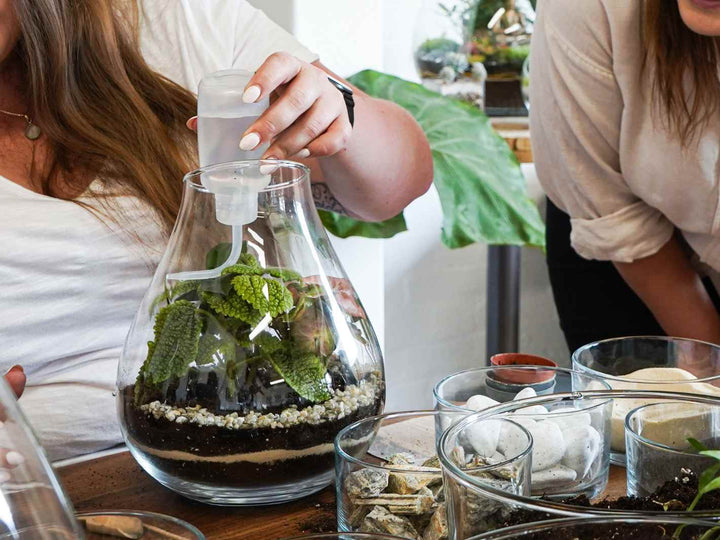 Participants creating terrariums at a workshop in London