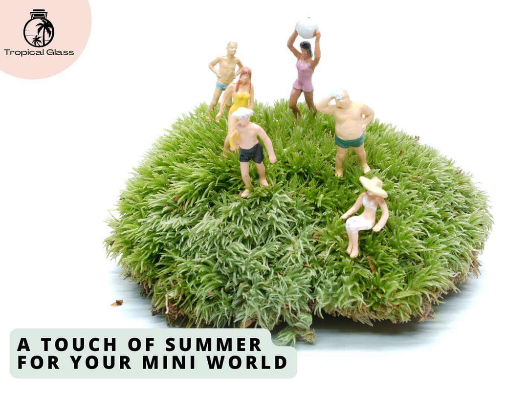 Pack of miniature swimming figures for terrariums and diorama scenes