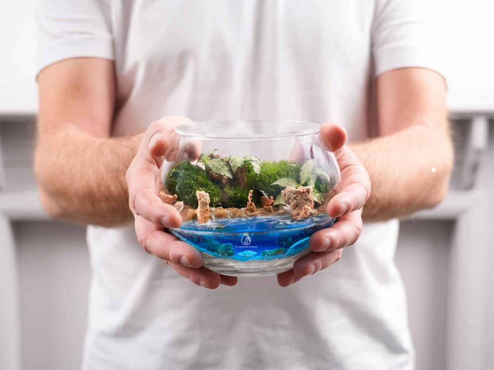 DIY terrarium kit with globe glass and water feature