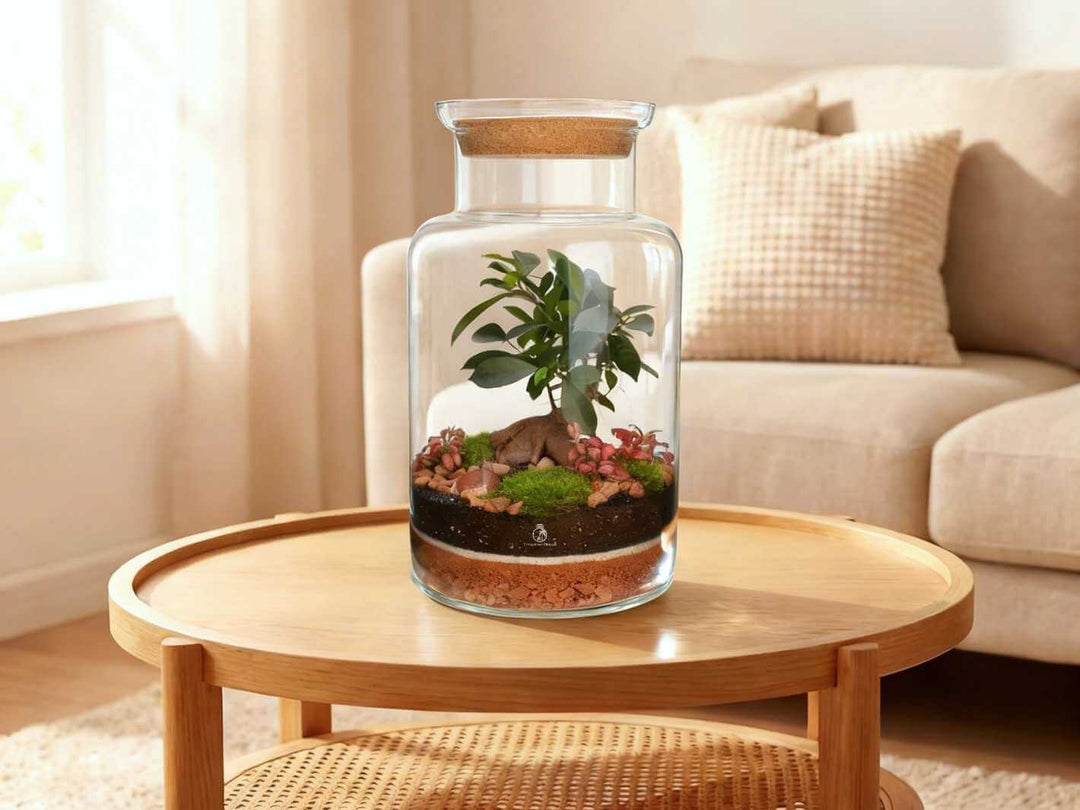 Bonsai terrarium kit for home display, artisan glass design, stylish indoor plant decoration