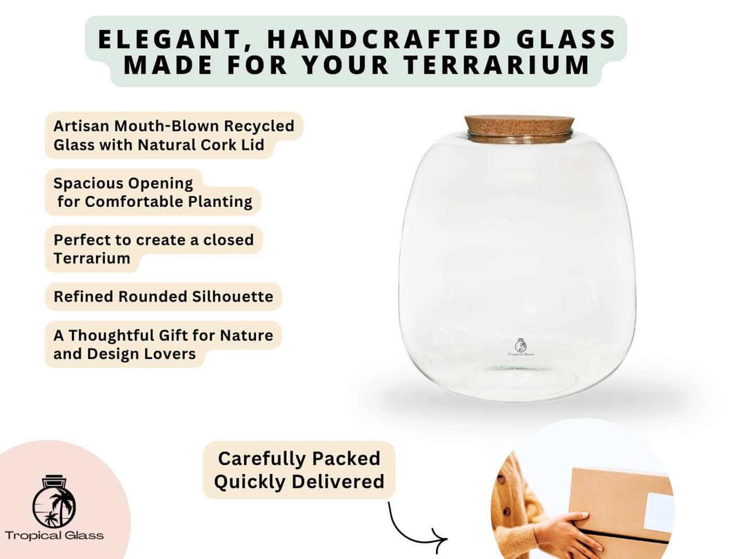 Bulb shaped closed terrarium jar with cork lid, clear glass indoor plant container