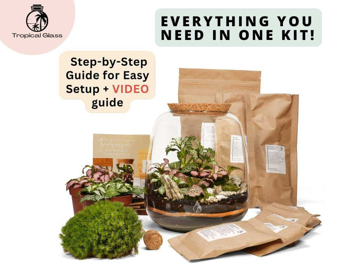 DIY bulb terrarium kit with layered soil, drainage and live plants ready to assemble
