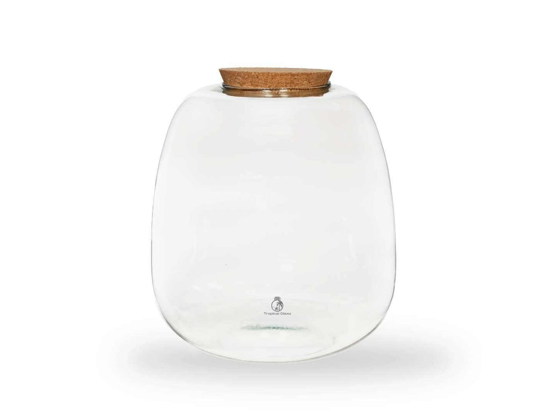 Bulb shaped glass terrarium jar with cork lid on white background, H 25 cm