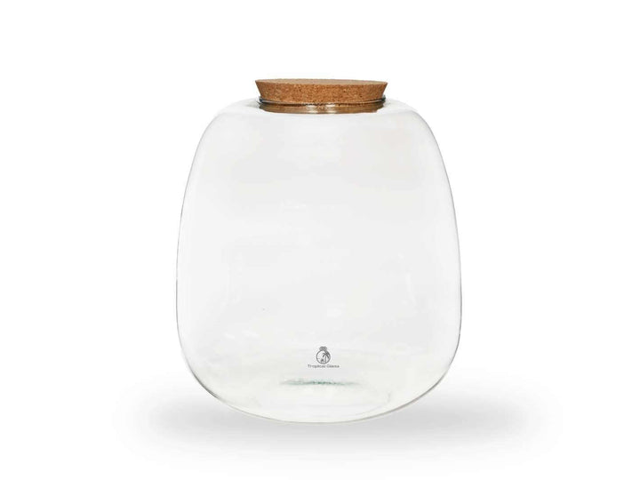 Bulb shaped glass terrarium jar with cork lid on white background, H 25 cm