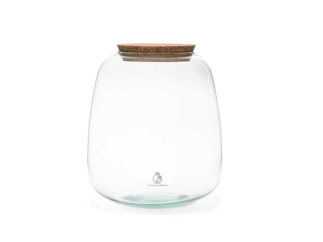 Bulb shaped terrarium jar measuring 22 cm height and 18 cm diameter for closed terrarium builds
