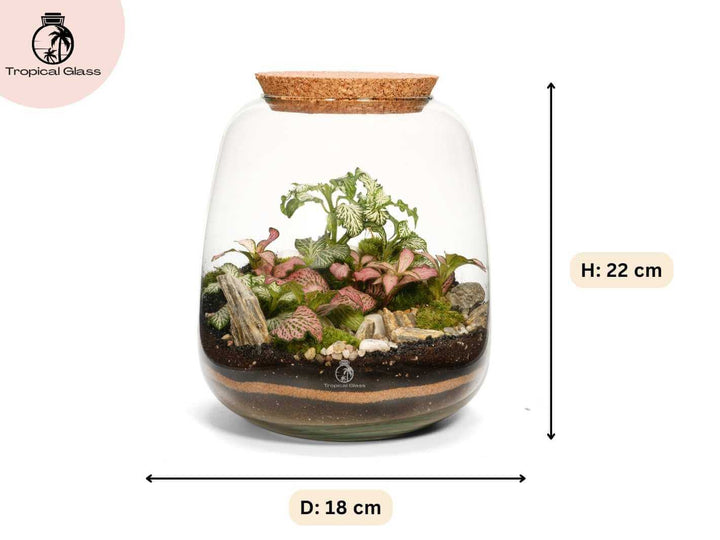 Bulb shaped glass terrarium measuring 22 cm tall with rounded design and cork lid