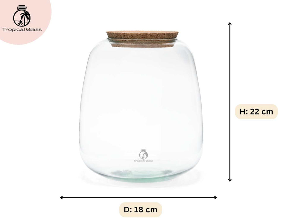 Bulb shaped terrarium jar measuring 22 cm height and 18 cm diameter for closed terrarium builds