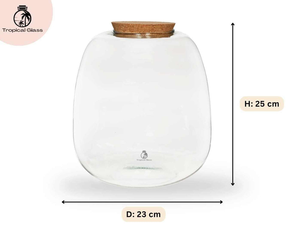 Bulb terrarium jar dimensions H 25 cm D 23 cm, size reference for glass container