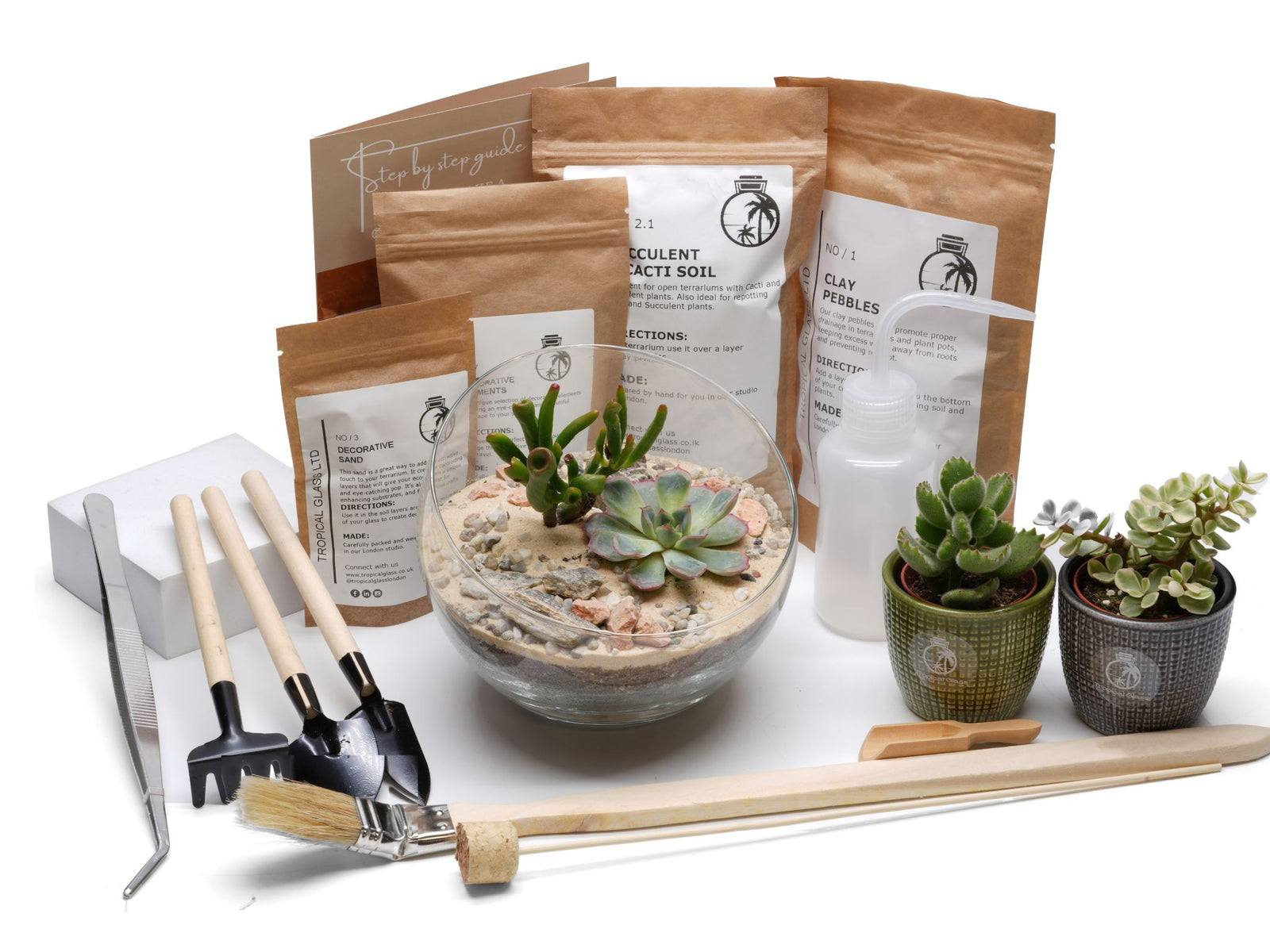 A neatly arranged open terrarium kit features a glass container filled with sand and pebbles, showcasing various succulents and cacti.