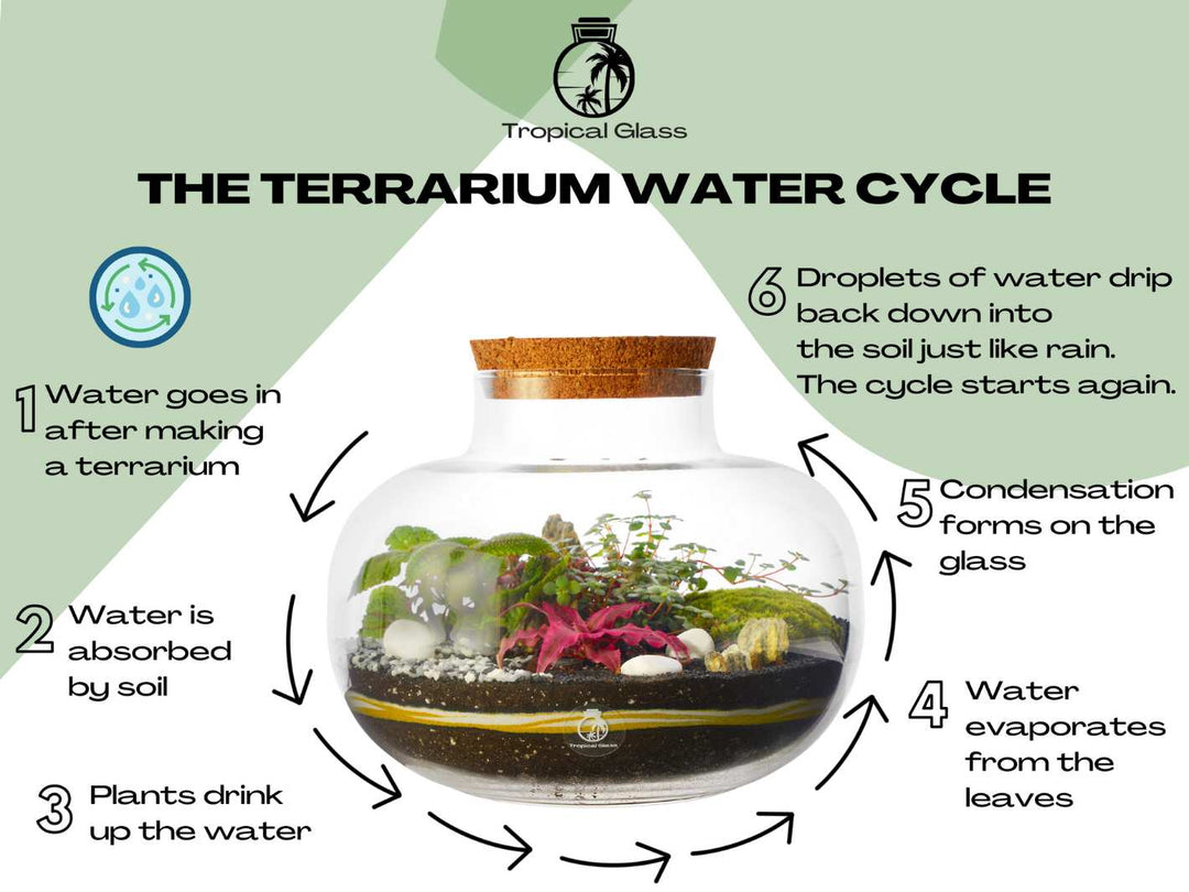 Terrarium Science 