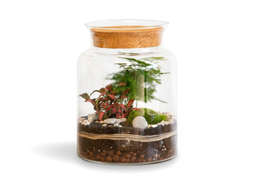 Glass terrarium with plants and rocks on a white background