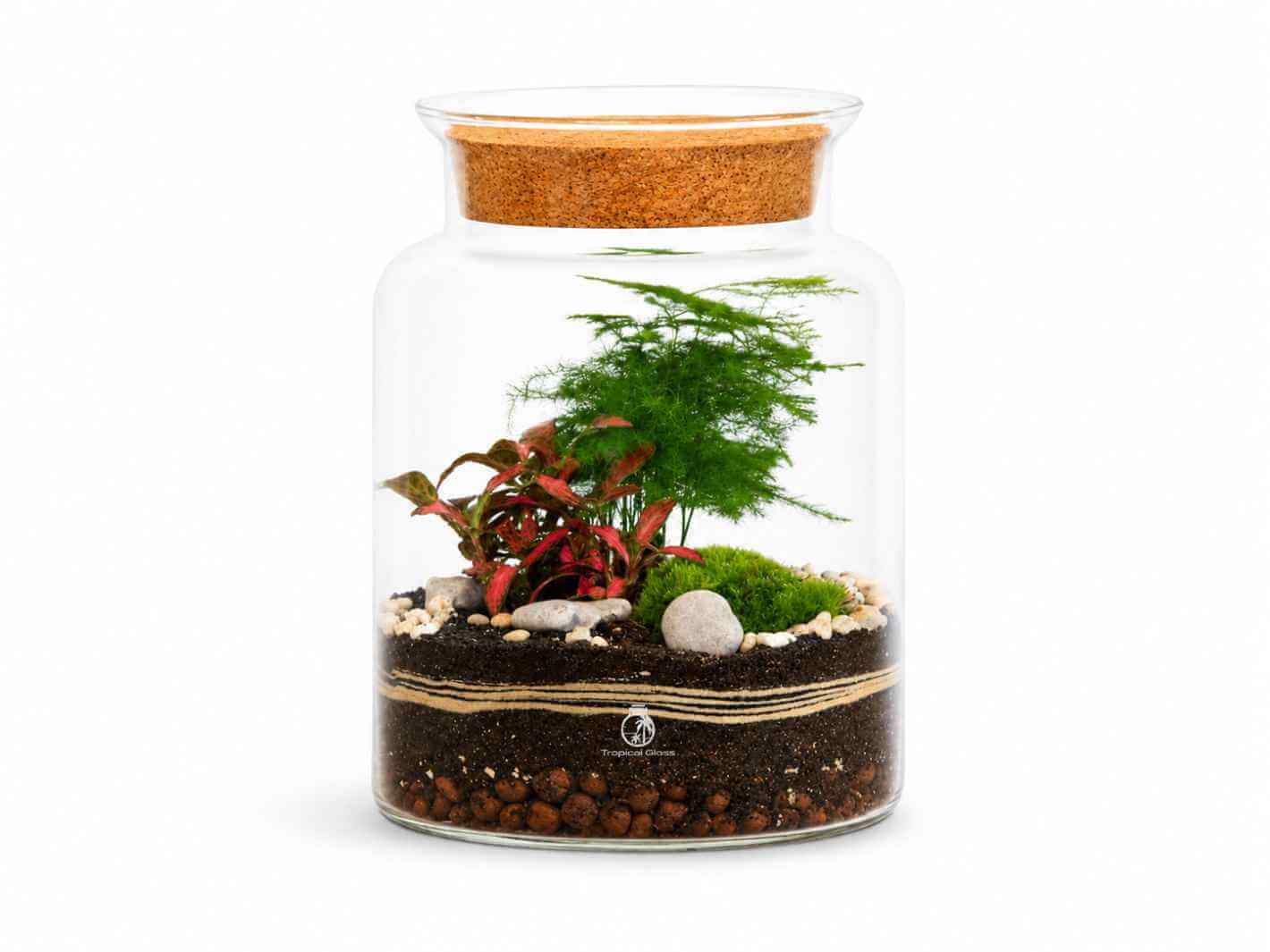A clear glass terrarium is filled with layers of soil, decorative pebbles, and small rocks, showcasing vibrant green plants, including a fern and colorful foliage.