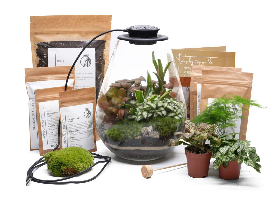 terrarium plant kit uk Light Up Terrarium with Grow Light
