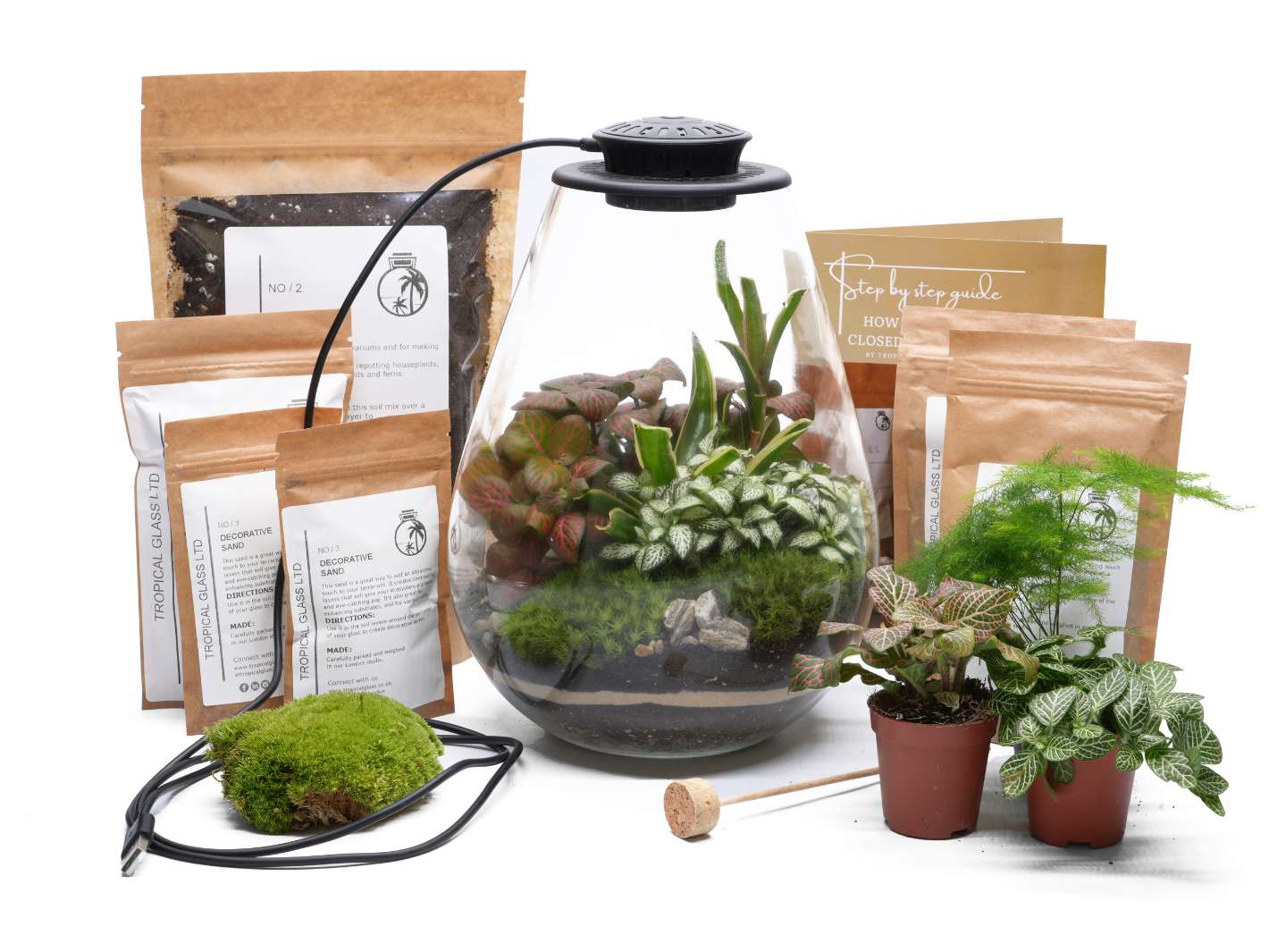 Glass terrarium with LED grow light lid, complete kit including plants and materials