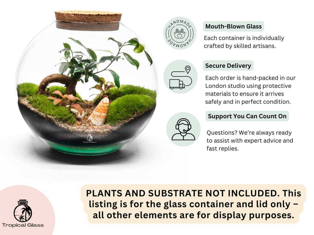 Example of a closed terrarium created inside a round glass container