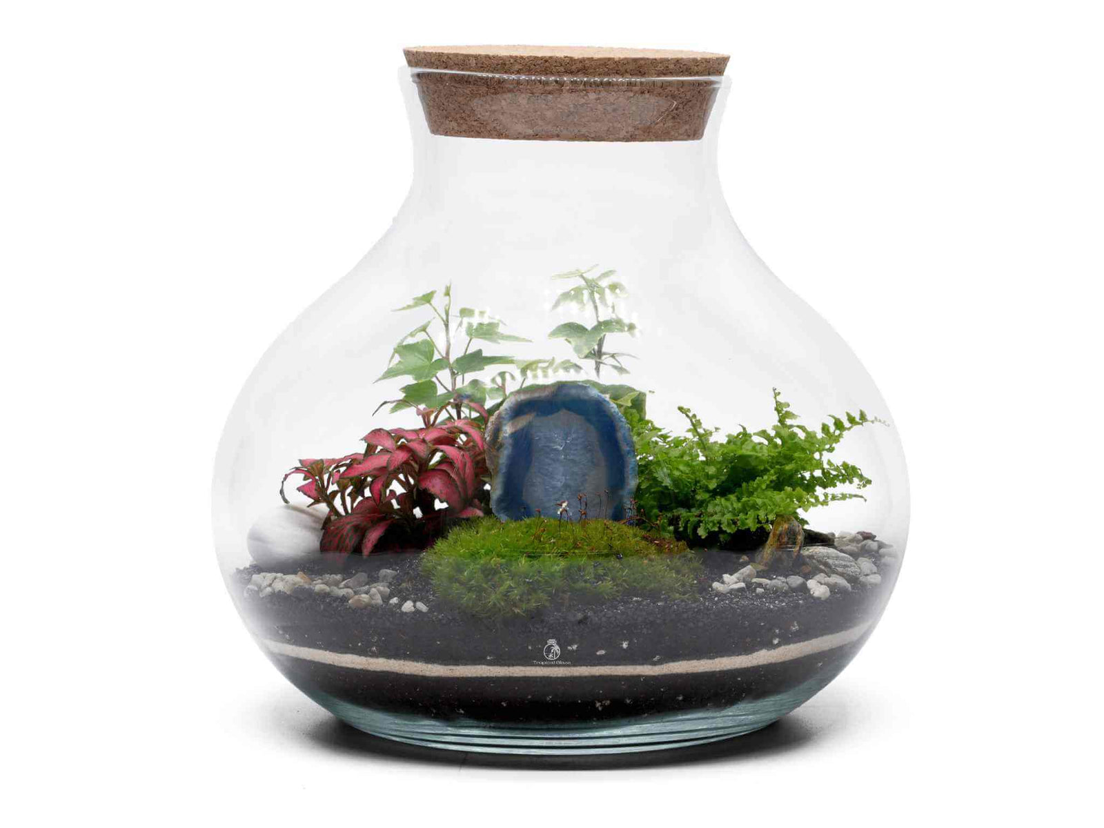 A beautifully arranged terrarium featuring a variety of lush plants, including ferns and Fittonia, set in a glass container. The scene includes decorative stones and a striking blue geode, creating a miniature ecosystem.