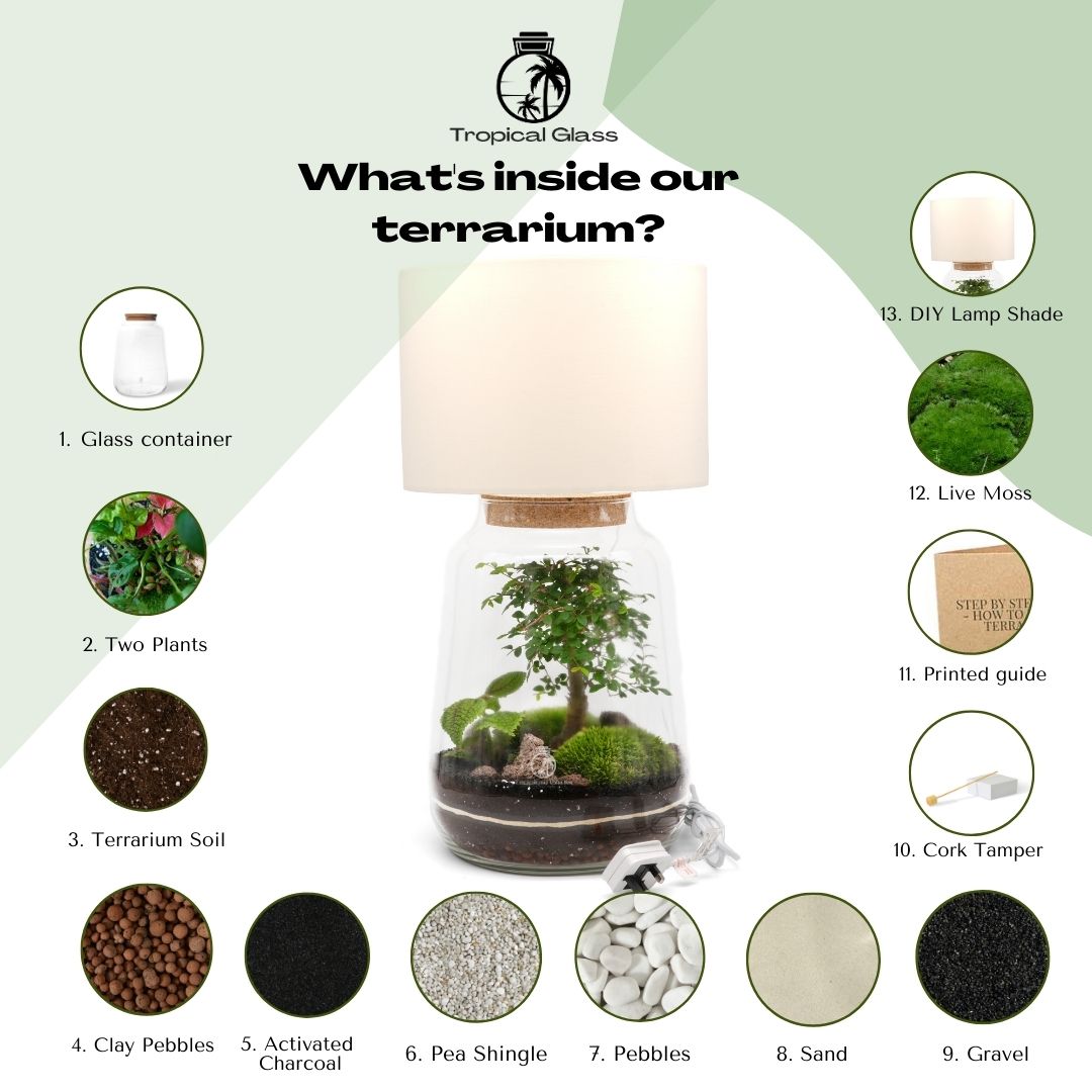 Diy deals terrarium lamp