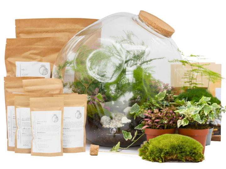 Handmade blob sphere terrarium jar with cork lid and live indoor plants
