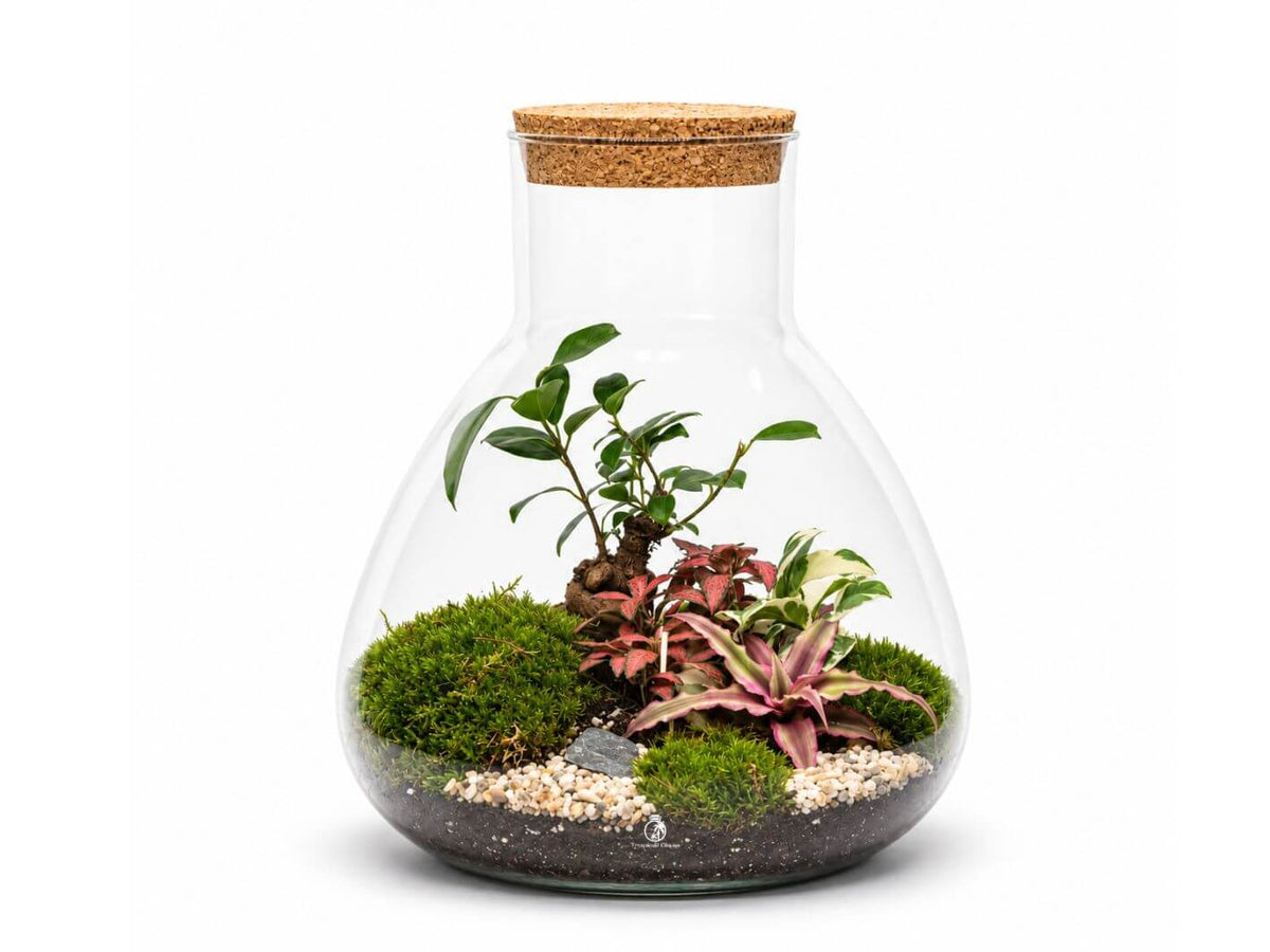 A glass terrarium in a flask shape showcases a variety of vibrant plants, including green vines and colorful foliage, nestled on a bed of soil and decorative stones.