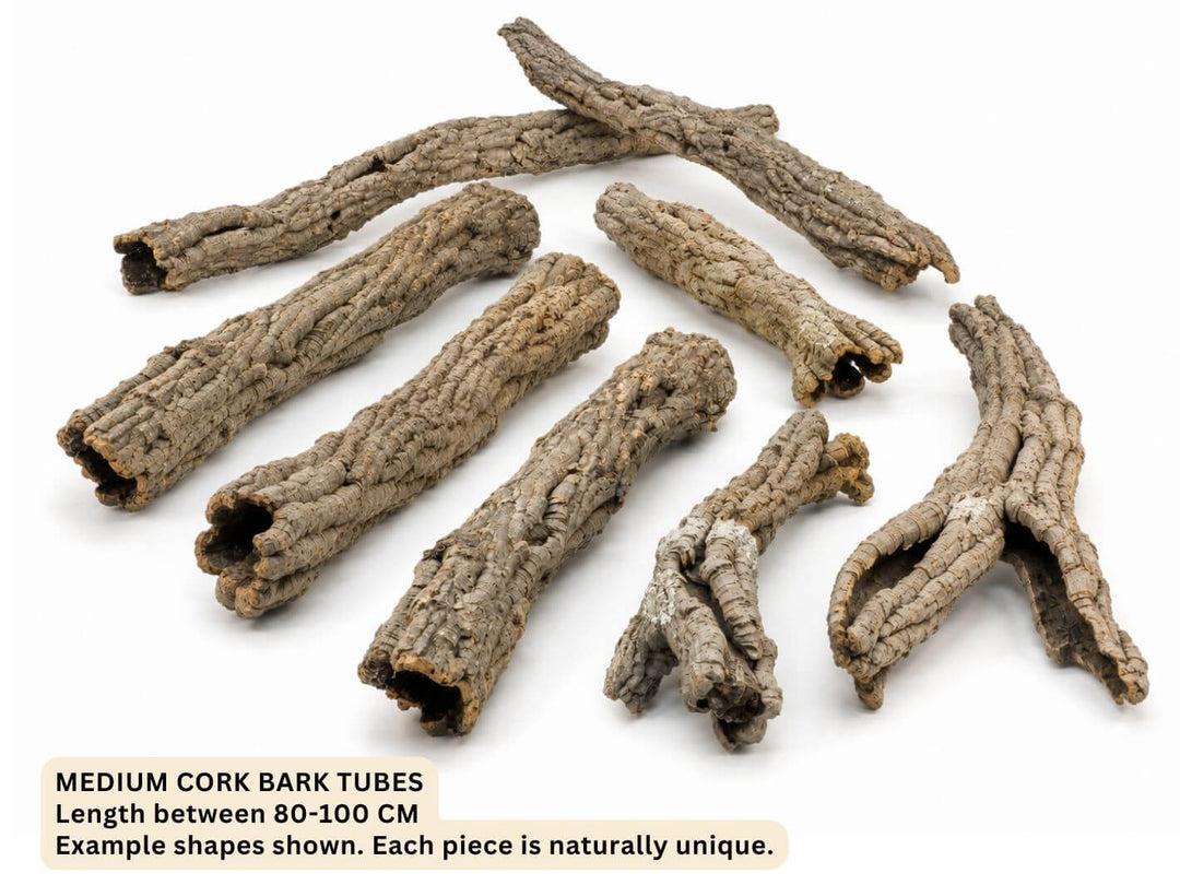 Natural Cork Bark Tube – Medium, 8–12 cm Diameter