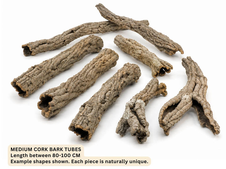 Natural Cork Bark Tube – Medium, 8–12 cm Diameter