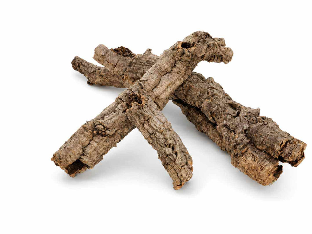 Natural cork bark branches for terrarium and reptile enclosure layouts