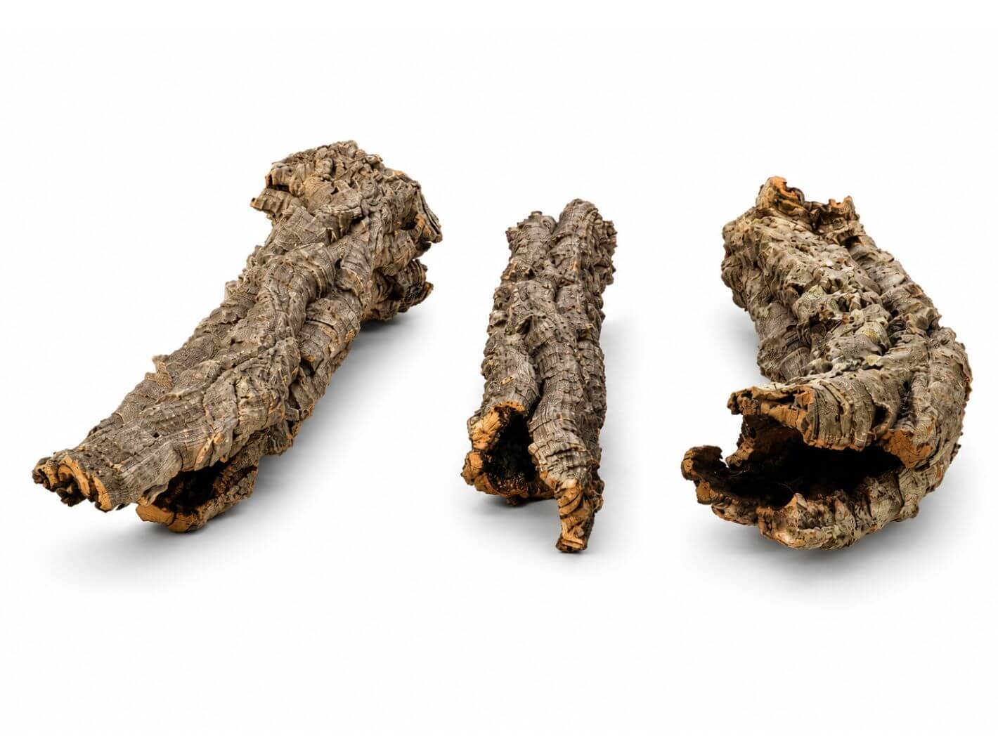 Three natural cork bark pieces for terrarium setup