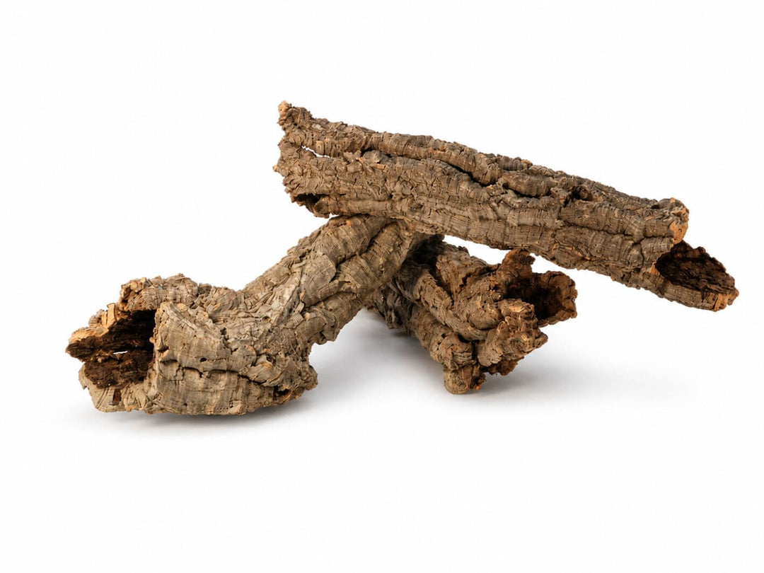 Hollow cork bark pieces for terrarium and plant display