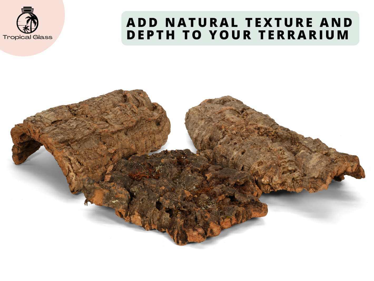 Cork bark hide for reptile vivarium, natural climbing and hiding feature for bioactive enclosures.