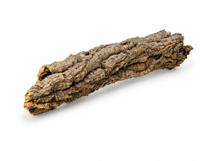Natural cork bark pieces for terrarium decoration