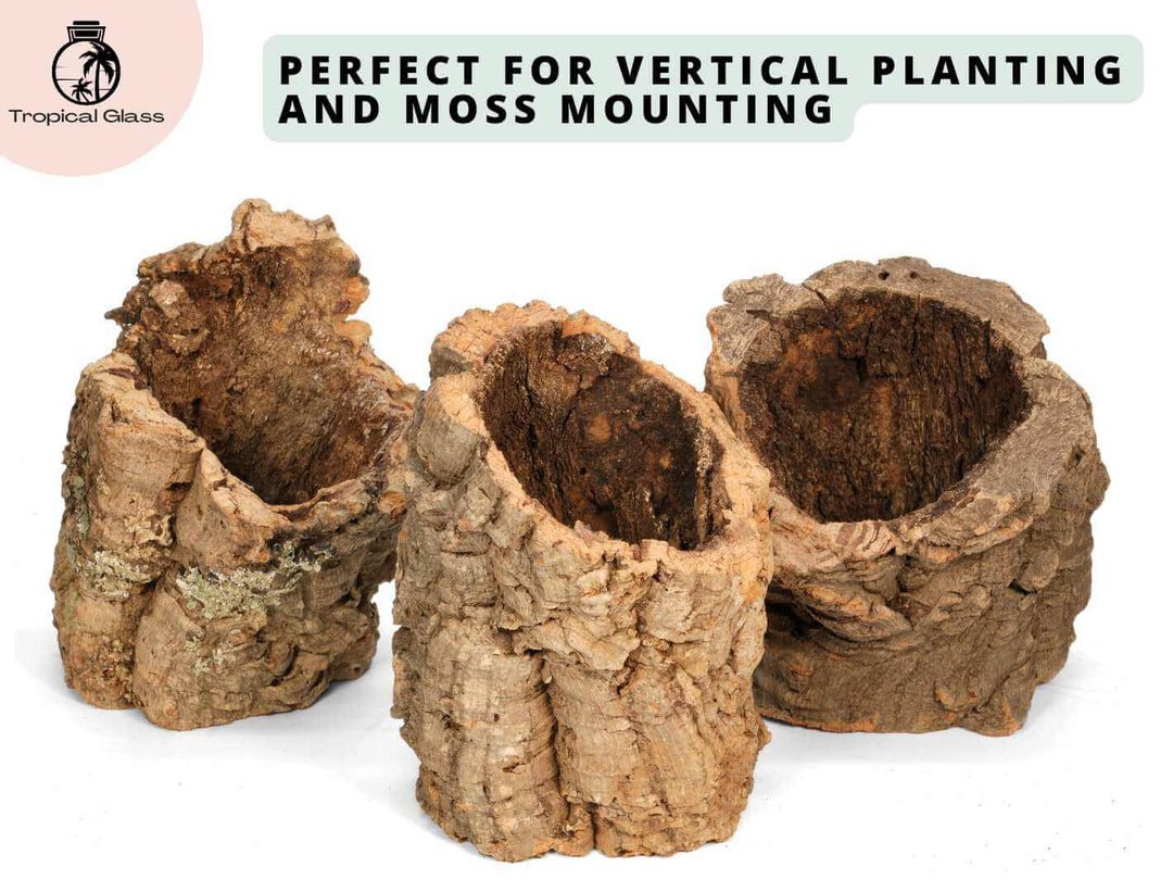 Round cork bark tube for vertical planting and moss mounting, hollow section up to 12 cm diameter.