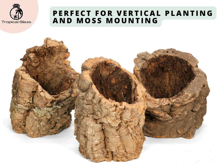 Round cork bark tube for vertical planting and moss mounting, hollow section up to 12 cm diameter.