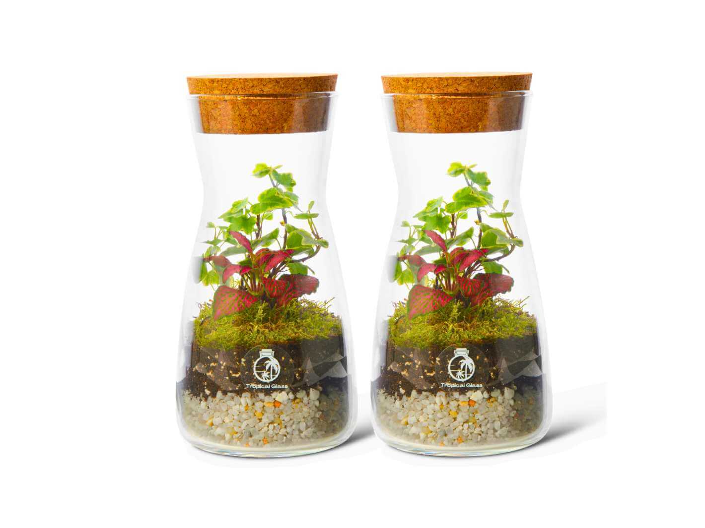 Closed Terrariums - Tropical Glass
