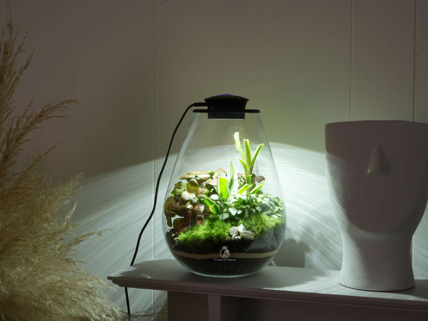 Close-up of intelligent LED grow light lid on a modern terrarium.