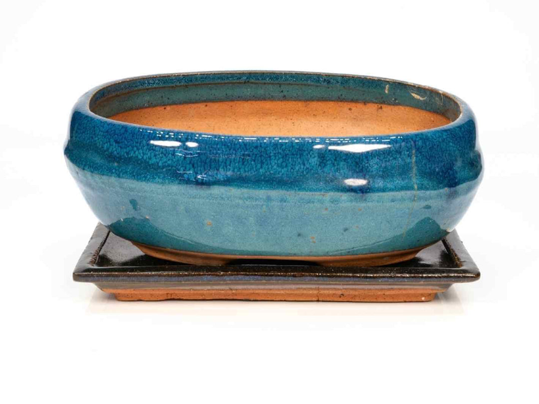 A vibrant blue decorative pot with a smooth, glossy finish sits atop a black saucer. The pot features a rounded, oval shape and is designed to hold plants.