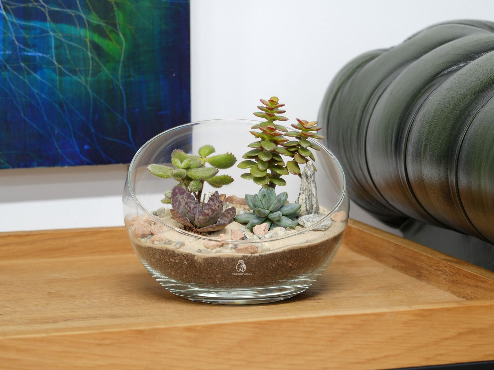 A glass terrarium sits on a wooden table, featuring a variety of small succulents and cacti arranged on a layer of sand and pebbles. The background includes a colorful abstract painting and a green tufted couch.