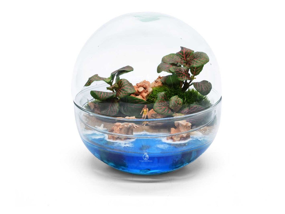 DIY resin terrarium kit with glass globe and water feature