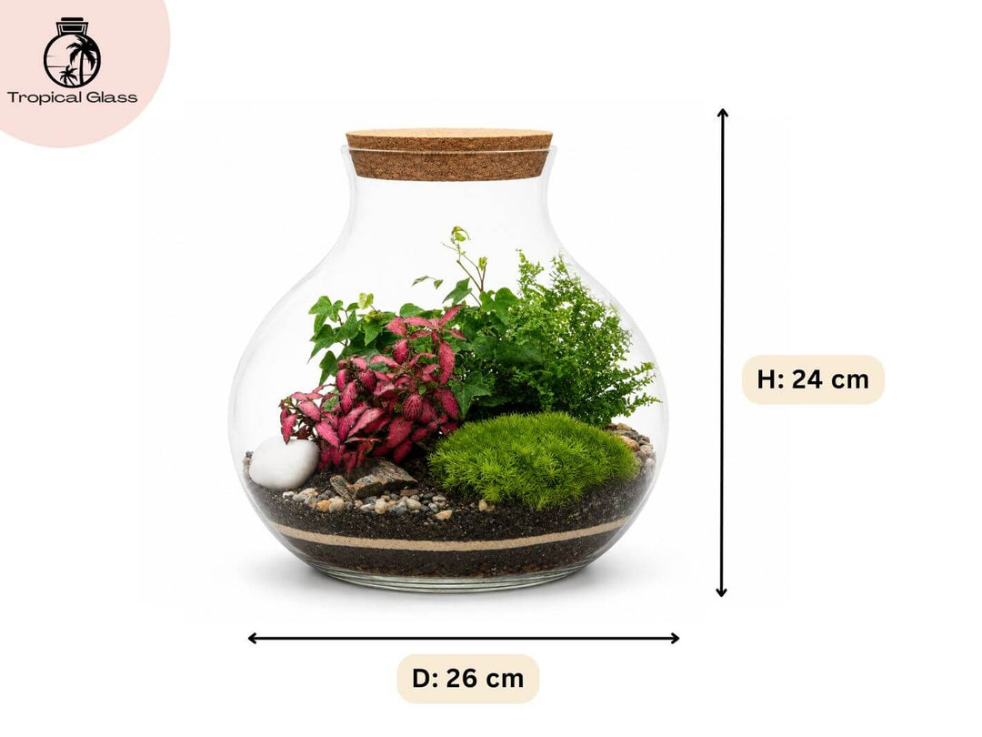 Closed Terrarium Kit H: 24 cm | &