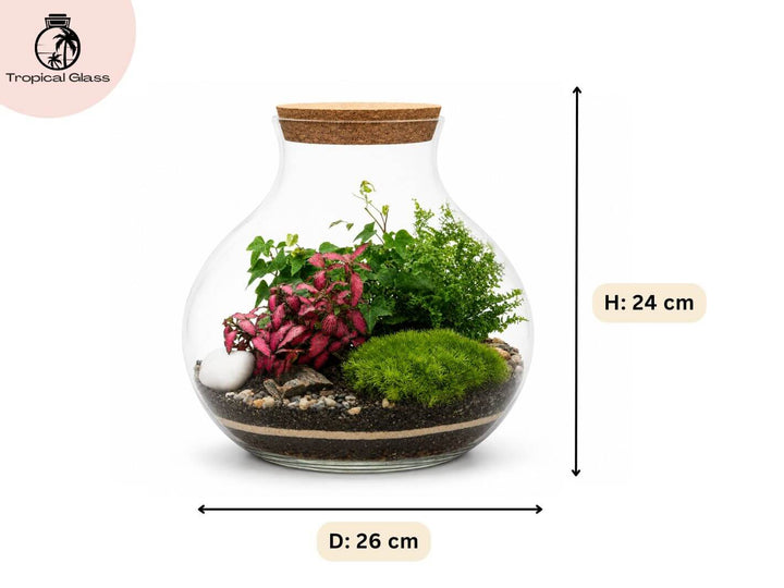 Closed Terrarium Kit H: 24 cm | &