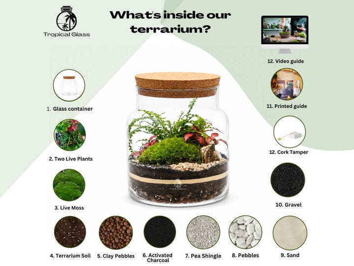 Closed DIY Terrarium Kit H: 19 cm | ‘Avignon’