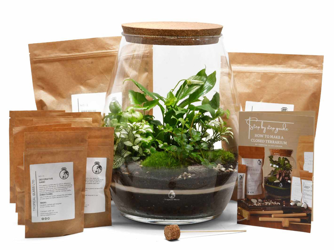 Step-by-step terrarium building process with substrate and decorative stones